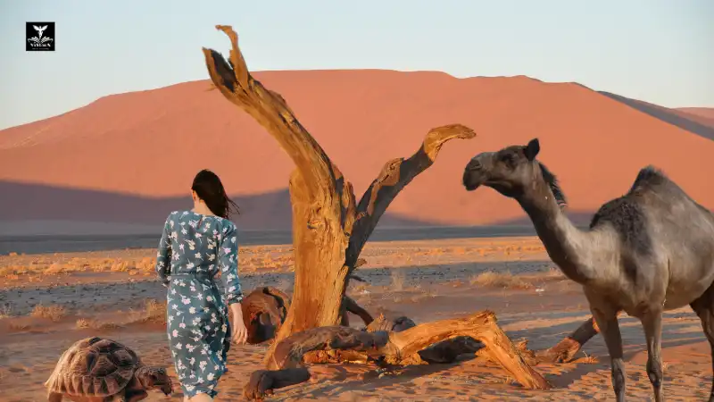 [FREE] NCERT भूगोल | कक्षा 7 | रेगिस्तान में जीवन (Demo Course)