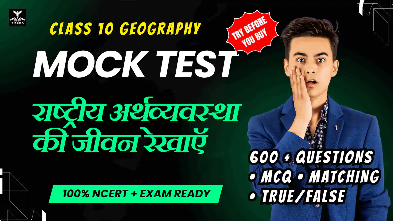 NCERT | Mock Test Class 10 राष्ट्रीय अर्थव्यवस्था की जीवन रेखाएँ | ViStarX™